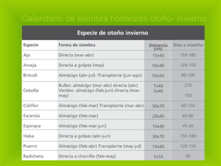Calendario de siembra hortalizas otoño- invierno 