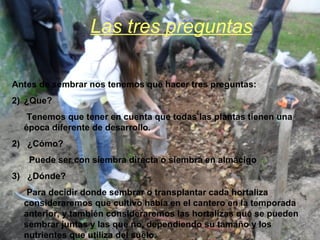 Las tres preguntas Antes de sembrar nos tenemos que hacer tres preguntas: ¿Que? Tenemos que tener en cuenta que todas las plantas tienen una época diferente de desarrollo. 2)  ¿Cómo?  Puede ser con siembra directa o siembra en almácigo 3)  ¿Dónde? Para decidir donde sembrar o transplantar cada hortaliza consideraremos que cultivo había en el cantero en la temporada anterior, y también consideraremos las hortalizas que se pueden sembrar juntas y las que no, dependiendo su tamaño y los nutrientes que utiliza del suelo. 