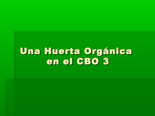 Una Huerta OrgánicaUna Huerta Orgánica
en el CBO 3en el CBO 3
 