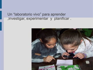 Un “laboratorio vivo” para aprender
,investigar, experimentar y planificar .
 