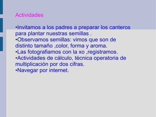 Actividades
●Invitamos a los padres a preparar los canteros
para plantar nuestras semillas .
●Observamos semillas: vimos que son de
distinto tamaño ,color, forma y aroma.
●Las fotografiamos con la xo ,registramos.
●Actividades de cálculo, técnica operatoria de
multiplicación por dos cifras.
●Navegar por internet.