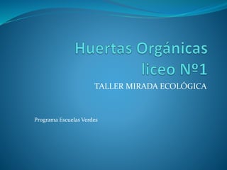 TALLER MIRADA ECOLÓGICA
Programa Escuelas Verdes
 