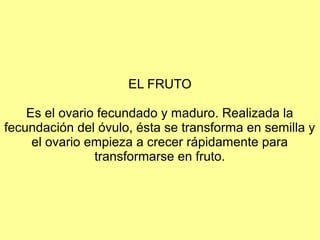 EL FRUTO

    Es el ovario fecundado y maduro. Realizada la
fecundación del óvulo, ésta se transforma en semilla y
     el ovario empieza a crecer rápidamente para
                transformarse en fruto.
 
