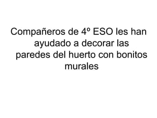 Compañeros de 4º ESO les han
ayudado a decorar las
paredes del huerto con bonitos
murales