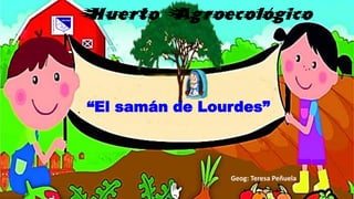 “El samán de Lourdes”
Geog: Teresa Peñuela
 
