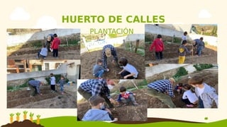 HUERTO DE CALLES
PLANTACIÓN
 