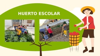 HUERTO ESCOLAR
 