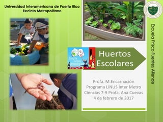 Universidad Interamericana de Puerto Rico
Recinto Metropolitano
EscuelaPriscoFuentesAllende
 