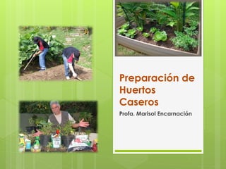 Preparación de
Huertos
Caseros
Profa. Marisol Encarnación
 