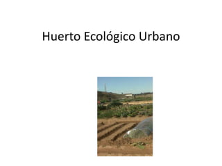 Huerto Ecológico Urbano
 