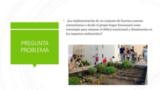 PREGUNTA
PROBLEMA
 ¿La implementación de un conjunto de huertas caseras
comunitarias o desde el propio hogar funcionará como
estrategia para mejorar el déficit nutricional y disminución en
los impactos ambientales?
 