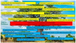 Deficiencia en la nutrición en la sociedad
colombiana y el impacto negativo ambiental por el uso inadecuado de recursos
FALTA DE
CONOCIMIENTO
ACCESIBILIDAD A LOS PROGRAMAS DE
SALUD
INSUFICIENCIA RECURSOS ECONOMICOS
ACCESO LIMITADO EN
ALIMENTOS
FALTA DE SERVICIOS DE AGUA
COSTUMBRES CULTURA ,
ETNIA
CARENCIA DE APOYO A GRUPOS
VULNERABLES
FALTA Y ABANDONO DE COMPETITIVIDAD DE LA ACTIDAD
PRIMARIA
ALTA TASA DE ENFERMEDADES
PREVENIBLES
INADECUADO HABITOS DE ALIMENTACIÓN
ESCASEZ DE SERVICIOS DE SANEAMIENTO BASICO
ALTA VUNERABILIDAD A INFECCIONES
BAJA PARTICÍPACIÓN DEL SECTOR DE LA
AGRICULTURA
DESPLAZAMIENTO DE HABITANTES
RURALES
POBREZA INSEGURIDAD ALIMENTARIA
DESERCIÓN Y BAJA ESCOLARIDAD
Árbol de
Problemas
 