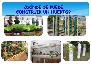 ¿DÓNDE SE PUEDE
CONSTRUIR UN HUERTO?
 