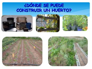 ¿DÓNDE SE PUEDE
CONSTRUIR UN HUERTO?
 
