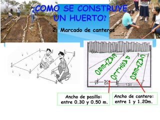 2. Marcado de canteros




     Ancho de pasillo:    Ancho de cantero:
   entre 0.30 y 0.50 m.   entre 1 y 1.20m.
 