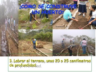 3. Labrar el terreno, unos 20 o 25 centímetros
de profundidad.
 