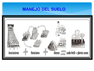 MANEJO DEL SUELO
 
