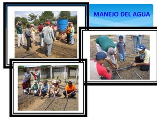 MANEJO DEL AGUA
 