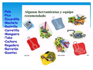 •Pala                                 
•Pico                                 
•Escardilla
•Machete                         
•Rastrillo                          
•Carretilla                        
•Manguera                       
•Tobo                               
•Cuchara                          
•Regadera                              
•Barretón                         
•Guantes
 