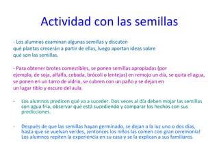 Actividad con las semillas
- Los alumnos examinan algunas semillas y discuten
qué plantas crecerán a partir de ellas, luego aportan ideas sobre
qué son las semillas.

- Para obtener brotes comestibles, se ponen semillas apropiadas (por
ejemplo, de soja, alfalfa, cebada, brócoli o lentejas) en remojo un día, se quita el agua,
se ponen en un tarro de vidrio, se cubren con un paño y se dejan en
un lugar tibio y oscuro del aula.

-   Los alumnos predicen qué va a suceder. Dos veces al día deben mojar las semillas
    con agua fría, observar qué está sucediendo y comparar los hechos con sus
    predicciones.

-   Después de que las semillas hayan germinado, se dejan a la luz uno o dos días,
    hasta que se vuelvan verdes, ¡entonces los niños las comen con gran ceremonia!
    Los alumnos repiten la experiencia en su casa y se la explican a sus familiares.
 