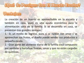 La creación de un huerto es aprovechable en la escuela y
también en casa, pues es una ayuda económica para la
alimentación sana de la familia. Si se desarrolla en casa, se
presentan tres grandes ventajas:
1.- Es un medio de ingreso, pues si se cuidan con amor y se
aprovechan sus frutos, el dueño puede vender sus productos a
pequeña escala.
2.- Gran parte del alimento diario de la familia está compuesto
por verduras y hortalizas frescas, sanas y que no están cargadas
de químicos.
 
