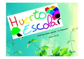 CEIP San Pedro Apóstol La Mojonera
Curso 15-16
 