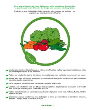 En el aula, el docente abrirá un diálogo con los/as estudiantes de acuerdo a
lo que observaron en el huerto, dar tiempo para escuchar a todos y todas.
Explicará el tema, hablándoles de los nutrientes que contienen las verduras y los
vegetales que se encuentran en el huerto.
Mostrar algunos alimentos de los que se cultivan en el huerto y explicar algunas normas básicas antes
y durante la preparación de los alimentos.
Pedir a los estudiantes que de las plantas observadas expresen cuales se consumen en sus casas.
Motivar a los y las estudiantes a recogidas y consumir frutas y vegetales todos los días por los múltiples
beneficios que les proporcionan.
Hacer pequeñas sumas utilizando las semillas recogidas en el huerto.
Orientar a los estudiantes para que dibujen en sus cuadernos las plantas que observaron en el huerto
y las frutas que más les gustan. Colocar en el mural.
Pedir a los estudiantes que copien algunas palabras del pizarrón como: hoja, hortaliza, huerto, hombre
y leer en voz alta..
Orientarlos para que escriban una frase corta sobre la planta que más le llamó la atención en el huerto,
ejemplo: Lechuga verde. Publicar en el mural.
 