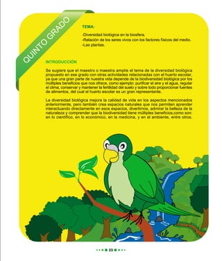 Q
U
IN
TO
G
R
AD
O
TEMA:
-Diversidad biológica en la biosfera.
-Relación de los seres vivos con los factores físicos del medio.
-Las plantas.
INTRODUCCIÓN
Se sugiere que el maestro o maestra amplie el tema de la diversidad biológica
propuesto en ese grado con otras actividades relacionadas con el huerto escolar,
ya que una gran parte de nuestra vida depende de la biodiversidad biológica por los
múltiples beneficios que nos ofrece, como ejemplo: purificar el aire y el agua, regular
el clima, conservar y mantener la fertilidad del suelo y sobre todo proporcionar fuentes
de alimentos, del cual el huerto escolar es un gran representante.
La diversidad biológica mejora la calidad de vida en los aspectos mencionados
anteriormente, pero también crea espacios naturales que nos permiten aprender
interactuando directamente en esos espacios, divertirnos, admirar la belleza de la
naturaleza y comprender que la biodiversidad tiene múltiples beneficios,como son:
en lo científico, en lo económico, en la medicina, y en el ambiente, entre otros.
 