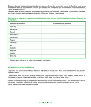 Después de que los estudiantes discutan en grupos, el maestro o maestra puede profundizar en el tema
enfatizando en que los alimentos son los que aportan los nutrientes que necesitamos para mantenernos,
crecer y desarrollarnos.
También debe profundizar en los nutrientes que contienen los alimentos y motivarlos a consumirlos variados,
siendo el huerto una alternativa de alimentos diferentes, frescos y saludables.
Escribir en la pizarra un cuatro como el siguiente para que los estudiantes lo completen de acuerdo
al mandato.
ACTIVIDADES DE DESARROLLO
Organizar una excursión científico -didáctica al huerto de la escuela o de la comunidad con los estudiantes
de sexto grado.
La excursión debe incluir una guía de observación y algunos recursos como: cinta métrica, regla, bolsas o
fundas para recoger muestras de hojas, cuaderno, lápiz, lupa, un mapa, entre otros.
Pedir a los/as estudiantes que observen el entorno del huerto tanto dentro como a sus alrededores, ubicar
los puntos cardinales utilizando el mapa, describir el ambiente que lo rodea: colores, aroma, otros.
Hacer anotaciones de sus observaciones.
Nombre del alimento Nutriente/s que contiene
Tomate
Espinaca
Perejil
Remolacha
Zanahoria
Pepino
Lechuga
Ají
Cebollín
Repollo
Coliflor
Brócolis
Discutir y socializar en el salón de clases los resultados.
 