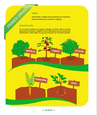 PR
IM
ER
G
R
AD
OINTRODUCCIÓN
En el primer grado se sugiere trabajar el tema sobre normas
básicas de nutrición e higiene de los alimentos que se consumen
diariamente, entre éstos, los que se producen en el huerto escolar.
TEMAS:
-Diversidad y belleza de las plantas de mi entorno.
-Normas básicas de nutrición e higiene.
REPOLLO TOMATE LECHUGA
PAPA
ZANAHORIA
 
