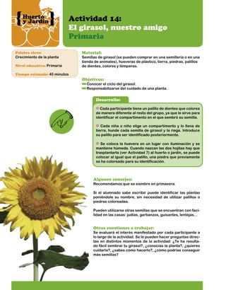 Huerto
y Jardín

Actividad 14:
El girasol, nuestro amigo
Primaria

Palabra clave:

Crecimiento de la planta
Nivel educativo: Primaria

Material:

Semillas de girasol (se pueden comprar en una semillería o en una
tienda de animales), hueveras de plástico, tierra, piedras, palillos
de dientes, colores y témperas.

Tiempo estimado: 45 minutos

Objetivos:

Conocer el ciclo del girasol.
Responsabilizarse del cuidado de una planta.

Desarrollo:
Cada participante tiene un palillo de dientes que colorea
de manera diferente al resto del grupo, ya que le sirve para
identificar el compartimento en el que sembró su semilla.
Cada niña o niño elige un compartimento y lo llena de
tierra, hunde cada semilla de girasol y la riega. Introduce
su palillo para ser identificado posteriormente.
Se coloca la huevera en un lugar con iluminación y se
mantiene húmeda. Cuando nazcan las dos hojitas hay que
trasplantarla (ver Actividad 7) al huerto o jardín, se puede
colocar al igual que el palillo, una piedra que previamente
se ha coloreado para su identificación.

Algunos consejos:

Recomendamos que se siembre en primavera.
Si el alumnado sabe escribir puede identificar las plantas
poniéndole su nombre, sin necesidad de utilizar palillos o
piedras coloreadas.
Pueden utilizarse otras semillas que se encuentran con facilidad en las casas: judías, garbanzos, guisantes, lentejas…

Otras cuestiones a trabajar:

Se evaluará el interés manifestado por cada participante a
lo largo de la actividad. Se le pueden hacer preguntas directas en distintos momentos de la actividad: ¿Te ha resultado fácil sembrar tu girasol?, ¿conocías la planta?, ¿quieres
cuidarla?, ¿sabes cómo hacerlo?, ¿cómo podrías conseguir
más semillas?

 