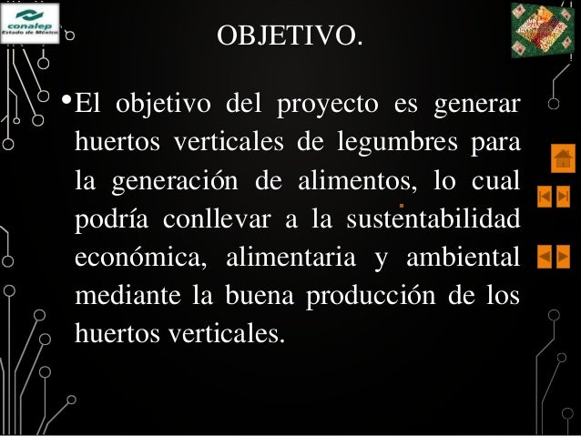 Proyecto Huerta Vertical En La 13 By Monica Marenzi Issuu