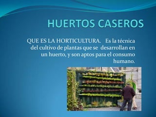 QUE ES LA HORTICULTURA. Es la técnica
del cultivo de plantas que se desarrollan en
un huerto, y son aptos para el consumo
humano.
 