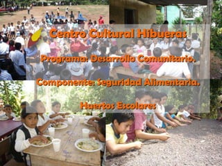 Centro Cultural Hibueras Programa: Desarrollo Comunitario. Componente: Seguridad Alimentaria. Huertos Escolares 