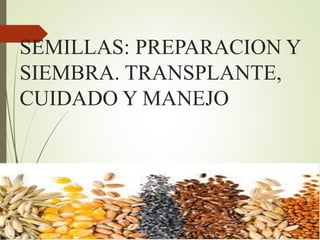 SEMILLAS: PREPARACION Y
SIEMBRA. TRANSPLANTE,
CUIDADO Y MANEJO
 
