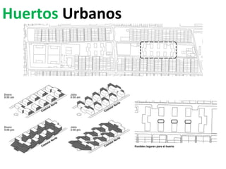 Huertos  Urbanos 