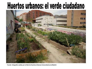 Fuente: fotografía cedida por la Red de Huertos Urbanos Comunitarios de Madrid
 