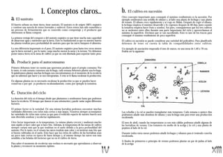1. Conceptos claros...                                           b.   El cultivo en sucesión

a. El sustrato                                                                                 Otro concepto importante para conseguir el máximo rendimiento es la sucesión. Por
                                                                                               ejemplo sembramos una semilla de rábano y, al lado una planta de lechuga y una planta
                                                                                               de tomate. El rábano crece rápidamente y se coge en 30días. Después de coger el rábano,
El huerto urbano no tiene tierra, tiene sustrato. El sustrato es de origen 100% orgánico       la lechuga empieza el máximo desarrollo y lo cogemos después de 60 días, justo cuando
y contiene una mezcla de restos forestales y estiércol. Estos restos han sido sometidos a      la tomatera empieza hacer fruto y sombra. Así pues, conseguiremos que los tres cultivos
un proceso de fermentación que es conocido como compostaje y el producto que                   no se molesten entre ellos durante una parte importante del ciclo y aprovechamos al
obtenemos se llama compost.                                                                    máximo la superficie. Decimos que se van sucediendo. Esto es uno de los trucos para
                                                                                               conseguir el máximo rendimiento de poca superficie.
La primera ventaja del compost o del sustrato orgánico es que tiene mucha más capacidad
de almacenar agua y nutrientes que la tierra. Esto es fundamental ya que en nuestro huerto     El cultivo en sucesión se puede considerar una variedad del policultivo. Para planificarlo
las plantas tendrán poca profundidad de sustrato para que las raíces busquen el alimento.      debemos de tener en cuenta la tabla de compatibilidades entre cultivos.
La otra diferencia importante es el peso. El sustrato orgánico pesa hasta tres veces menos     Un ejemplo de asociación empezada el mes de marzo, en una mesa de 1,40 x 70 cm.
que la tierra normal y, por lo tanto, carga mucho menos la mesa y la terraza. No debemos       Podría ser la siguiente:
poner nunca tierra en la mesa de cultivo ya que no está diseñada para soportar tanto peso.


b.    Producir para el autoconsumo
Primero debemos tener en cuenta que queremos producir para el propio consumo. Por
lo tanto, si cada semana comemos una lechuga, cada semana debemos plantar una lechuga.
Si quisiéramos plantar muchas lechugas nos encontraríamos en el momento de la recolecta
que no sabemos que hacer y se nos estropearían. A esto se le llama escalonar la producción.

En algunas plantas no es necesario escalonar la producción ya que se pueden hacer
conservas o por qué ya producen escalonadamente, como por ejemplo la tomatera.


c.   Duración del ciclo
La duración del ciclo es el tiempo desde que plantamos o sembramos hasta que podemos
hacer la recolecta. El tiempo que damos es una orientación y puede variar según diferentes
factores.

El primer factor es la variedad. De una misma hortaliza podemos encontrar muchas
variedades diferentes con ciclos más cortos o más largos. Nosotros siempre aconsejamos         Las cebollas y la col se pueden transplantar más temprano. Cada semana o quince días
las variedades de ciclos más cortos ya que para el reducido espacio de nuestro huerto será     podríamos añadir más siembras de rábano y una lechuga más para tener una producción
más divertido sembrar y recolectar rápidamente.                                                escalonada.
Otro factor importante es la temperatura. La misma planta crecerá y madurará mucho             El mes de abril, cuando las temperaturas ya son más cálidas podemos añadir algunas de
más rápido si hace calor que si hace frío. Además, la temperatura de las mesas de cultivo      las hortalizas de verano. Una tomatera en medio de la acelga y la col y una planta de
siempre variará más que la que tendrían en el suelo debido a la poca profundidad del           pepinos al lado de la col.
sustrato. Por lo tanto, en el verano las raíces tendrán más calor y en invierno más frío que
si fuesen cultivadas en el suelo. Esto hace que los ciclos de cultivo de las hortalizas sean   Durante todos estos meses podemos añadir lechugas y rábanos para ir teniendo cosecha
un poco más cortos en época de buen tiempo y, al mismo tiempo las raíces son más               escalonada.
sensibles a las heladas del invierno que no en el cultivo de tierra.
                                                                                               A finales de primavera o principio de verano podemos plantar un par de judías al lado
Para saber el momento de recolectar una verdura es necesario que aprendamos a observar         de la acelga.
la planta y reconocer su momento óptimo.
 