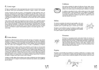 Calabaza
c. Como regar                                                                                                       Hay muchas variedades de calabaza de diferentes formas, midas, colores,
                                                                                                                    duración del ciclo. Ahora bien, no plantéis una calabaza en el huerto
El riego es posiblemente la clave más importante para el éxito de nuestro huerto. Como                              urbano si no tenéis un poco de sitio para que la calabaza se escampe.
las plantas tienen poca profundidad de sustrato el agua se agota con facilidad.
                                                                                                                    La calabaza es una planta de calor, se debe sembrar una vez bien entrada
Gracias al sistema de riego por goteo y al programador de riego podemos regar con                                   la primavera (abril - mayo) poniendo dos o tres semillas en un hagujero.
precisión. Primeramente se debe ajustar la cantidad de agua del riego. Esto se hace                                 La recolección se hace unos 6 meses después de la siembra. Una
programando el tiempo que dura el riego. También se puede cerrar un poco el grifo para                              característica original de la calabaza es que una vez cogida se conserva
conseguir menos cantidad de agua. Sabremos que el riego ha finalizado cuando comience                               muy bien durante unos meses.
a salir agua por debajo de la mesa. Normalmente será necesario sólo unos 30 segundos
de riego.

Cada cuando se debe regar? Esto depende de la época del año y de la cantidad de plantas          Melón
que hay en el huerto. Al principio deberá observarse el sustrato para saber si está muy
seco o todavía está húmedo. Si observamos que las plantas se marchitan quiere decir que          De todas las variedades del melón la de piel amarilla y ciclo corto
hemos esperado demasiado y ya deberíamos de haber regado. Seguramente no se morirán              son las que se adaptan mejor al cultivo del huerto . Es una planta
por falta de agua pero no crecerán tanto y, por lo tanto, la cosecha será menor. En pleno        trepadora pero se puede dejar que se arrastre por el suelo.
verano y con el huerto en pleno funcionamiento puede ser necesario regar dos o tres
veces al día.                                                                                    El melón es una hortaliza de verano. Se siembra en semilla a partir
                                                                                                 de abril - mayo y se coge a los 60 días, dependiendo de la variedad.
                                                                                                 Si se quiere también se puede hacer de plantel.



                                                                                                                    Fresones
d. Como abonar                                                                                                      El fresón se transplanta desde otoño hasta finales de invierno. A
                                                                                                                    principios de primavera hará las primeras flores y cogeremos los primeros
Las plantas se alimentan de los nutrientes minerales que hay en el sustrato y que extraen                           fresones hacia el mes de mayo. La planta sigue floreciendo y produciendo
mediante sus raíces. Los nutrientes que necesita en más cantidad son el fósforo, el nitrógeno,                      fresones durante todo el verano. En el verano la fresa produce unos
el potasio y el magnesio. A éstos se les llaman macronutrientes. Pero hay otros nutrientes                          tallos horizontales llamados estolones. Estos tallos, cuando tocan el
que también son necesarios para la planta pero en menor cantidad. Son los micronutrientes                           suelo forman una planta nueva. Así pues, de una fresa podemos tener
entre los cuales está el manganeso, el boro, el cobre, el molibdeno y el hierro.                                    diferentes hijas para el próximo año.
El sustrato del huerto urbano contiene estos nutrientes y, por lo tanto, no será necesario
añadir ningún abono. Ahora bien, después de unos meses de cultivo los nutrientes se
agotarán, no solo porqué las plantas los consumen, sino también porqué algunos se lavan
con el exceso de agua del riego o con la lluvia. Entonces será el momento de añadir más          Pepino
compost. Esta operación se suele hacer dos veces al año y no hace falta sacar el sustrato
para añadirle más ya que el volumen del sustrato de nuestro huerto habrá disminuido lo           El pepino es una hortaliza muy productiva. Se siembra en abril-mayo y se empieza a coger
suficiente debido a la compactación y a la oxidación. Podemos aprovechar el momento              a los tres meses. La recolección es continua hasta que llegan los meses de invierno. Con
de añadir el compost nuevo para revolver todo el sustrato.                                       una sola planta en nuestro huerto tendremos pepinos de sobra durante todos los meses
                                                                                                 de verano.
También es posible utilizar abonos químicos que venden en jardinerías pero desaconsejamos
este sistema ya que el compost es una fuente de nutrientes más natural y muy equilibrada
para las plantas.
 