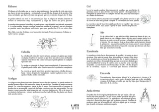 Rábano                                                                                        Col
                                                                                              La col se puede sembrar directamente de semillas, que son fáciles de
El rábano es la hortaliza que se cosecha más rápidamente. La variedad de ciclo más corto,     germinar, pero es más efectivo encontrar plantel y transplantarlo. El
que hacen la raíz muy pequeña y redondeada, se coge 28 días después de la siembra. Hay        transplante se puede hacer en cualquier mes del año pero una buena época
otras variedades que hacen la raíz más grande que se recolectar después de 45 días.           es a finales de invierno.
Se puede cultivar casi todo el año mientras no haya el peligro de heladas. Durante el         En un huerto urbano pequeño es aconsejable solo plantar una col ya que
verano se desarrolla muy rápidamente y coge un sabor un poco picante.                         al crecer se hace muy grande e impide el crecimiento de otras plantas.

Se siembra directamente la semilla y se puede poner a una densidad muy elevada, separando     La cosecha se puede hacer de seguida que forme el cogollo y que este sea
3 - 5 cm las semillas. Siempre conviene poner más semillas de la cuenta y, una vez germinen   lo suficiente firme. Esto pasará a partir de unos 3 meses después del
se pueden sacar las plantas suficientes para que queden las 3-5 cm entre ellas.               transplante.

Hace falta cosechar el rábano en el momento adecuado. Si nos retrasamos el rábano se                            Ajo
vuelve vacío y amargo.
                                                                                                                Es de cultivo fácil ya que sólo hace falta plantar un diente de ajo y se
                                                                                                                puede hacer en casi cualquier época del año pero la mejor época es el
                                                                                                                invierno, si estáis cerca de la costa o a finales de invierno si estáis en
                                                                                                                el interior. De esta manera el ajo se desarrollará perfectamente durante
                                                                                                                la primavera y los podréis cosechar en verano, unos 5 meses después
                                                                                                                de la plantación de dientes. Si queréis cosechar ajos tiernos solo hace
                                                                                                                falta que avancéis la cosecha.

                  Cebolla                                                                     Zanahoria
                  La cebolla es la reina del huerto urbano porqué es la planta que mejor      La siembra se debe hacer directamente de semilla y le cuesta un poco
                  se adapta al cultivo en sustrato ya que tiene una raíces poco profundas.    germinar. Hay quien aconseja dejar las semillas en remojo el día antes
                  Aguanta muy bien el frío y esto hace que se pueda plantar en cualquier      de la siembra para acelerar la germinación. En el huerto urbano la
                  época del año.                                                              zanahoria no se hace demasiado larga porqué se encuentra limitada por
                                                                                              la profundidad de la mesa de cultivo pero se pueden sacar cosechas
                  Lo mejor es conseguir el plantel para transplantarlo. Si queremos hacer     aceptables. La cosecha de la zanahoria se hace de 70 a 120 días después
                  el plantel puede tardar unos 3 meses antes no lo podamos transplantar.      de la siembra, según la variedad que hemos sembrado.

                  La cosecha se puede hacer muy pronto si queremos cebollas tiernas o
                  hasta 5 meses después del transplante, cuando la planta se seca y solo                        Escarola
                  queda el bulbo medio enterrado.
                                                                                                                Normalmente buscaremos plantel a la primavera o verano y la
Acelgas                                                                                                         recogeremos tres o cuatro meses después. Igual que en las variedades
                                                                                                                romanas de lechuga se tendrá que atar las hojas para blanquearlas 15
La acelga es una planta que tolera bastante bien el frío del invierno. Se puede sembrar la                      días antes de la cosecha.
semilla durante todo el año menos los meses de mucho frío. También se puede encontrar
plantel. La cosecha empieza a partir de los 2 meses. Para aprovechar el máximo la
producción es aconsejable coger solo las hojas exteriores que son más grandes. De esta
manera conservamos las hojas pequeñas que crecerán rápidamente. Así en la época de            Judía tierna
crecimiento (primavera y verano) podemos cosechar cada 15 días. La planta nos durará
todo un año entero.                                                                           De judías hay de dos tipos principalmente: las que trepan y las que
                                                                                              hacen una mata pequeña. Las que trepan suelen producir más pero
                                                                                              necesitan espacio para crecer. Los agricultores normalmente ponen
                                                                                              cañas de 4 metros de altura para que la planta se enrede. También la
                                                                                              podemos guiar par la barandilla del balcón o dejarla que se escampe
                                                                                              por el suelo si tenemos suficiente espacio.
 