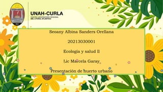 Seoany Albina Sanders Orellana
20213030001
Ecología y salud ll
Lic Marcela Garay
Presentación de huerto urbano
 