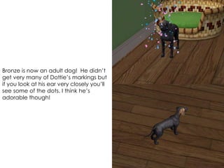 Bronze is now an adult dog! He didn’t
get very many of Dottie’s markings but
if you look at his ear very closely you’ll
see some of the dots. I think he’s
adorable though!
 