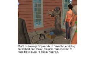 Right as I was getting ready to have the wedding
for Hobart and Violet, the grim reaper came to
take Slate away to doggy heaven.
 