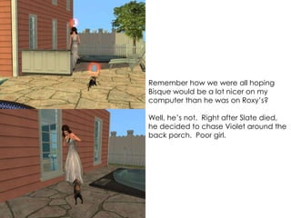 Remember how we were all hoping
Bisque would be a lot nicer on my
computer than he was on Roxy’s?
Well, he’s not. Right after Slate died,
he decided to chase Violet around the
back porch. Poor girl.
 