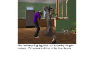 The next morning, Eggshell was taken by the grim
reaper. It’s been a sad time in the Hues house.
 