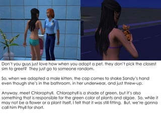 Don’t you guys just love how when you adopt a pet, they don’t pick the closest
sim to greet? They just go to someone random.
So, when we adopted a male kitten, the cop comes to shake Sandy’s hand
even though she’s in the bathroom, in her underwear, and just threw-up.
Anyway, meet Chlorophyll. Chlorophyll is a shade of green, but it’s also
something that is responsible for the green color of plants and algae. So, while it
may not be a flower or a plant itself, I felt that it was still fitting. But, we’re gonna
call him Phyll for short.
 