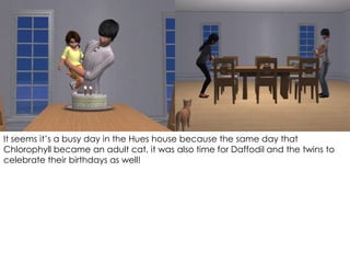 It seems it’s a busy day in the Hues house because the same day that
Chlorophyll became an adult cat, it was also time for Daffodil and the twins to
celebrate their birthdays as well!
 