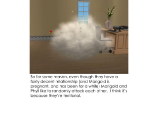 So for some reason, even though they have a
fairly decent relationship (and Marigold is
pregnant, and has been for a while) Marigold and
Phyll like to randomly attack each other. I think it’s
because they’re territorial.
 