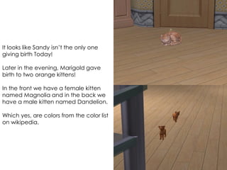 It looks like Sandy isn’t the only one
giving birth Today!
Later in the evening, Marigold gave
birth to two orange kittens!
In the front we have a female kitten
named Magnolia and in the back we
have a male kitten named Dandelion.
Which yes, are colors from the color list
on wikipedia.
 