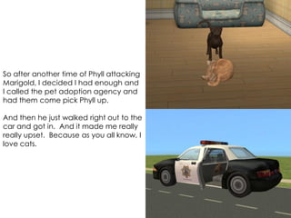 So after another time of Phyll attacking
Marigold, I decided I had enough and
I called the pet adoption agency and
had them come pick Phyll up.
And then he just walked right out to the
car and got in. And it made me really
really upset. Because as you all know, I
love cats.
 